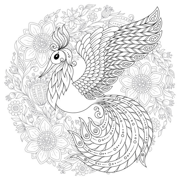 ilustraciones, imágenes clip art, dibujos animados e iconos de stock de pavo real en estilo zen. página para adultos anti-stress para colorear. - peacock feather outline black and white