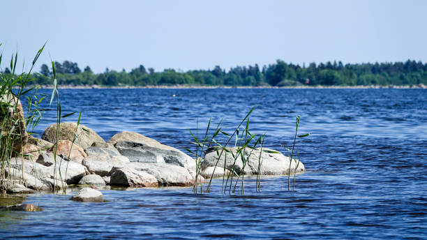 Archipelago. Small rocky point in the sea. Sweden