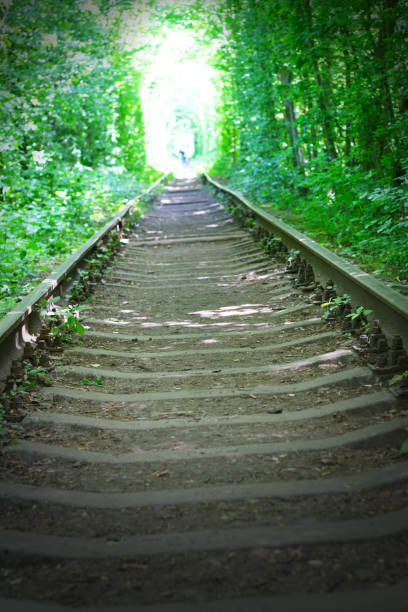 istock light end of the tunnel love 970933956