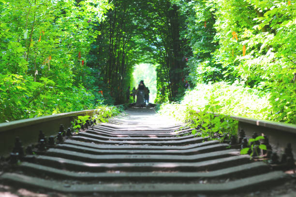 istock love tunnel close-up 970934710