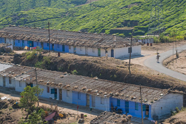 logements pour les travailleurs des plantations de thé indien - employee barracks photos et images de collection