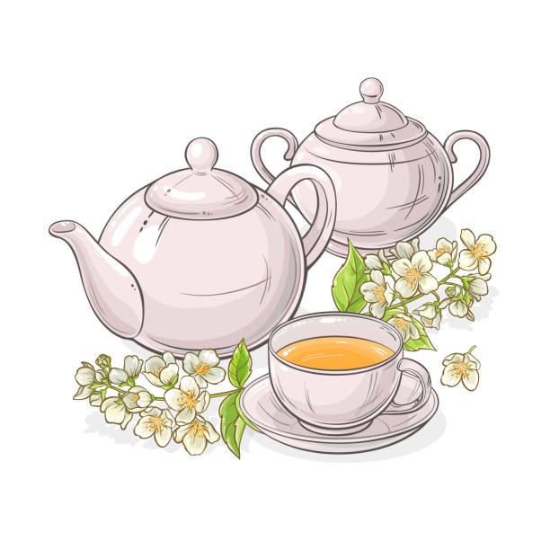 jasmine tea vector illustration jasmine tea vector illustration on white background sugar bowl crockery stock illustrations