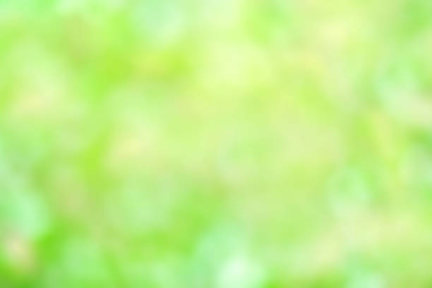 istock Blurred bright Summer background. Abstract colorful green bokeh  from tree