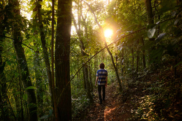 istock Young man enjoying a nature trail in Rio de Janeiro 970952620