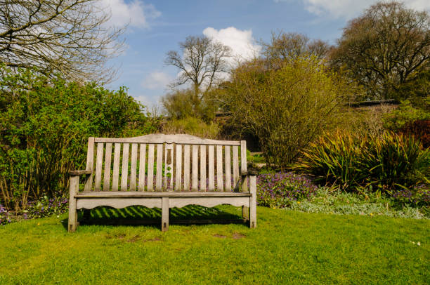 istock Garden bench in a formal walled garden 970957664
