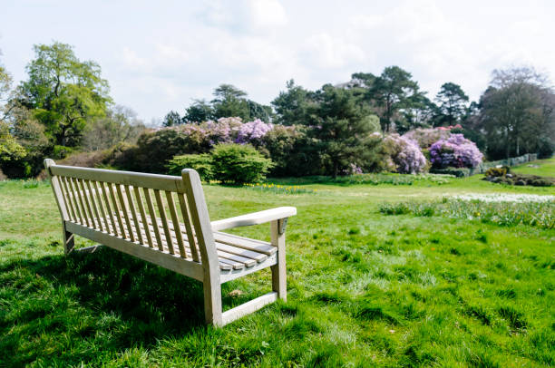 istock A bench looking over a very large garden. 970959538