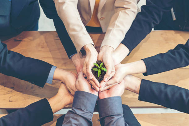 negocio equipo trabajo ahuecamiento joven crianza de planta ambiental de las manos y reducir la tierra calentamiento global. concepto de ecología - growth plant human hand tree fotografías e imágenes de stock