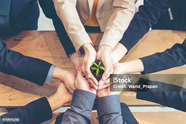 Hands Business Team Work Cupping Young Plant Nurture Environmental And Reduce Global Warming Earth Ecology Concept Stock Photo - Download Image Now