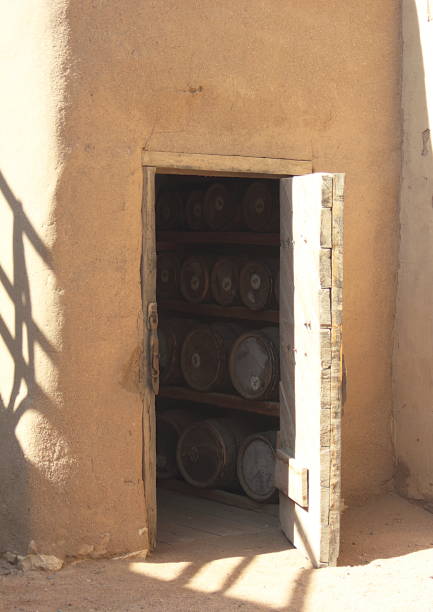 tonneaux dans une cave par la porte de cave - wine cellar door house photos et images de collection