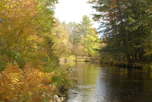 istock Colorful foliage along riverbanks 970995600