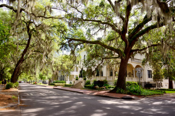 istock Homes, Savannah, Georgia. 970995836