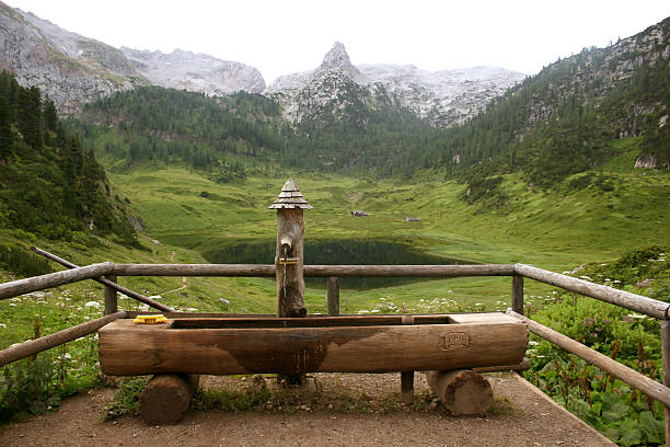 istock Funtensee in the bavarian Alps, Germany 97099639