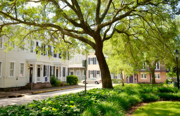 istock Homes, Savannah, Georgia. 970997326