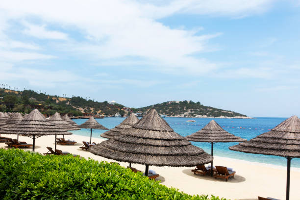 istock Beach chairs with umbrellas and beautiful sand beach 971002104