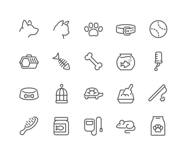 Line Pet Icons Simple Set of Pet Related Vector Line Icons. Contains such Icons as Collar, Toys, Pet Food and more. Editable Stroke. 48x48 Pixel Perfect. domestic animals stock illustrations