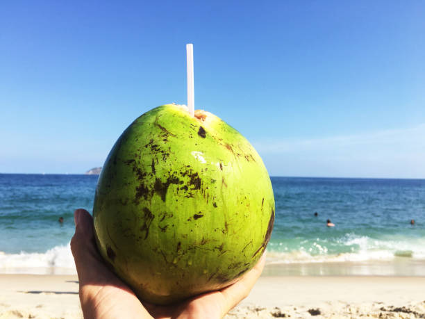 istock Hand Holding Green Coconut on the Beach 971005008