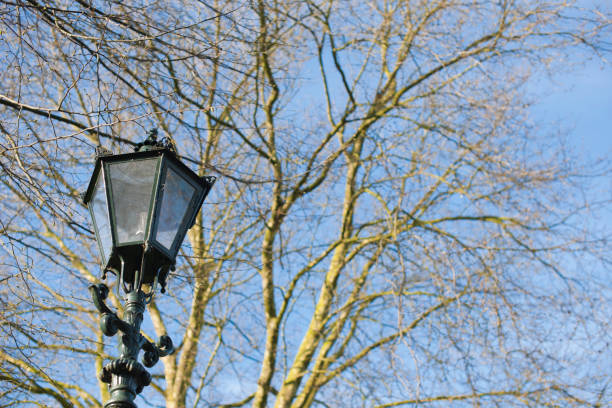 istock street light in the afternoon. Blue sky and tree branches 971008364