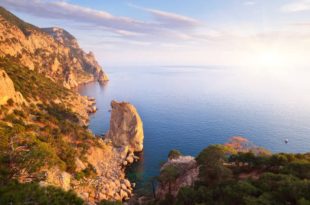 istock Rocks by the Sea 971015322