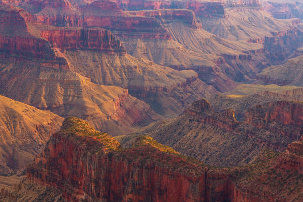 istock Sunset over the Grand Canyon, North Rim. 971025420