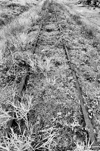 Rails of an old railway abandoned in Brazil