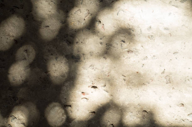 istock Solar patches of light on stone surface 971025770