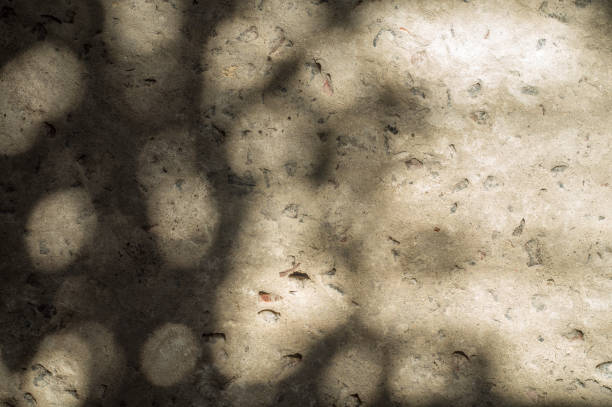 istock Solar patches of light on stone surface 971025802