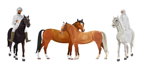 Arab man and woman on horseback Arab man and woman in traditional dress on horseback . Vector illustration isolated on white background arab man riding horse stock illustrations