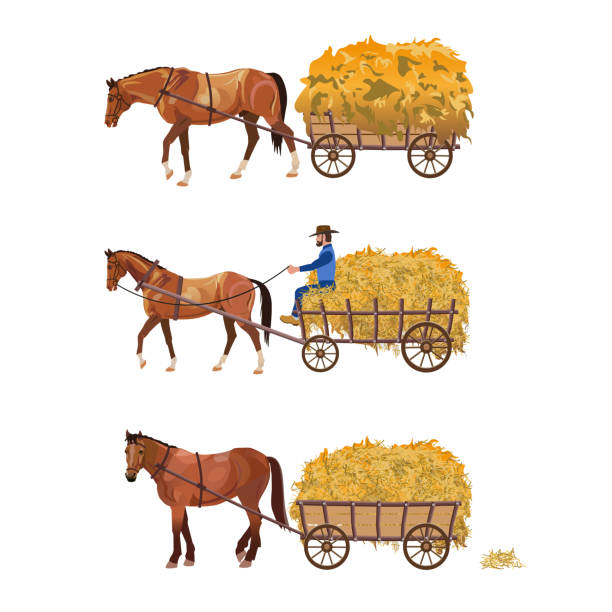 ilustrações, clipart, desenhos animados e ícones de carroça puxada a cavalo com feno - rick