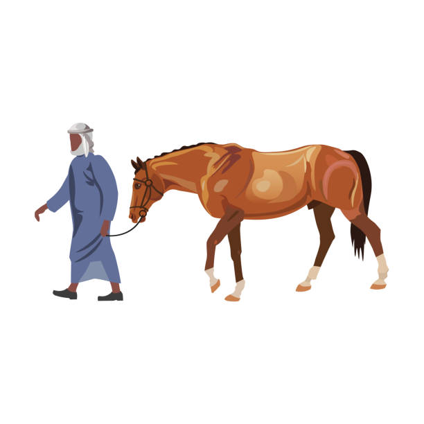 Man leads a racing horse Arab man in a traditional outfit leads a racing horse. Vector illustration isolated on white background arab man riding horse stock illustrations