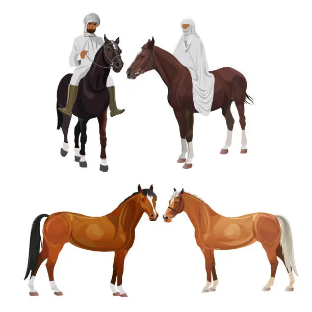 Vector illustration of Arabian riders and horses