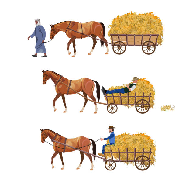 bildbanksillustrationer, clip art samt tecknat material och ikoner med hästdragna vagnen med hö - horse net hay