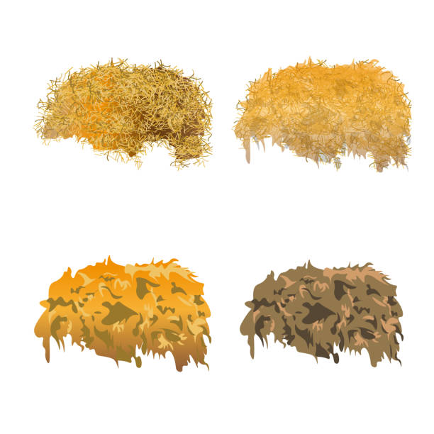 Hay pile set. Hay pile set. Vector illustration isolated on a white background hay stock illustrations