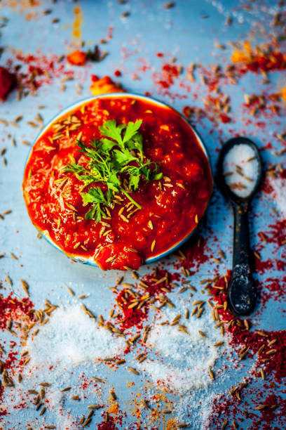 indian/asian popular tomato chutney with all its ingredients and spices on a silver surface. - chutney imagens e fotografias de stock