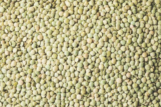 istock Heap of green lentils texture 971032246