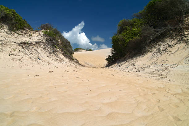 istock Genipabu, Brazil 971035078