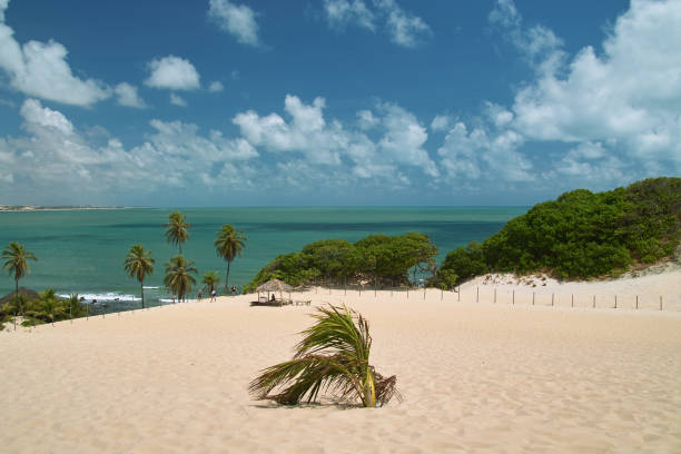 istock Genipabu, Brazil 971035210