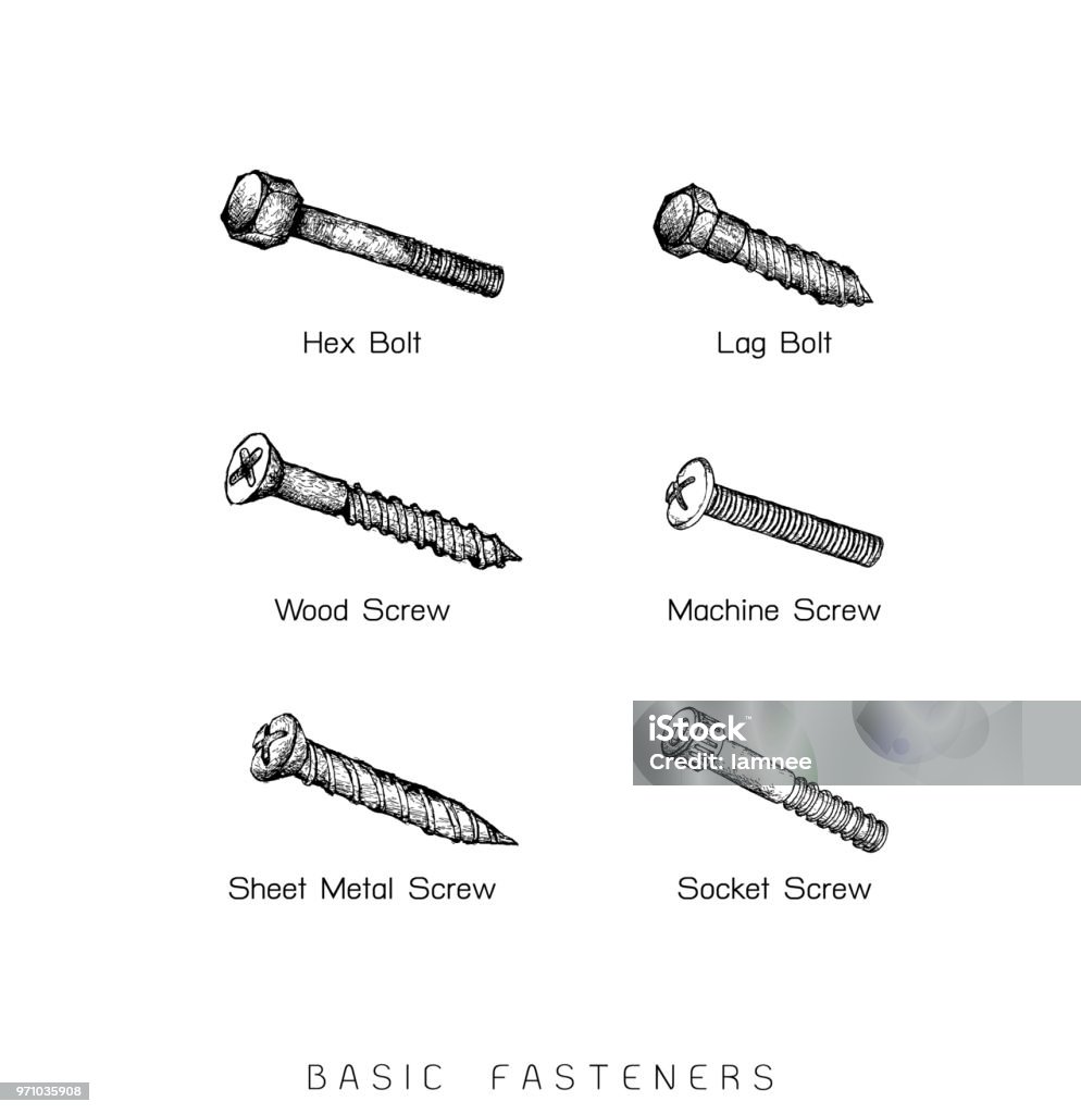 Basic Fastener Inchi Hand Drawn Sketch Of Basic Fasteners Set Stock Illustration - Download ...