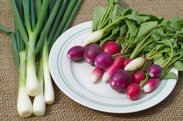 istock Fresh radish on a plate and green onions 971036494