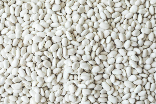 istock Heap of white beans texture 971040074
