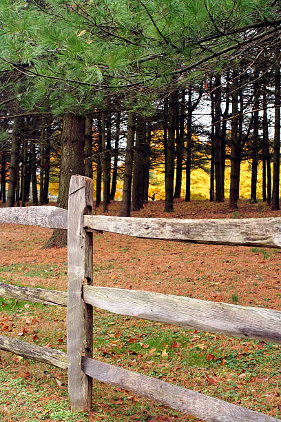 istock Country Fence in Autumn 97104112