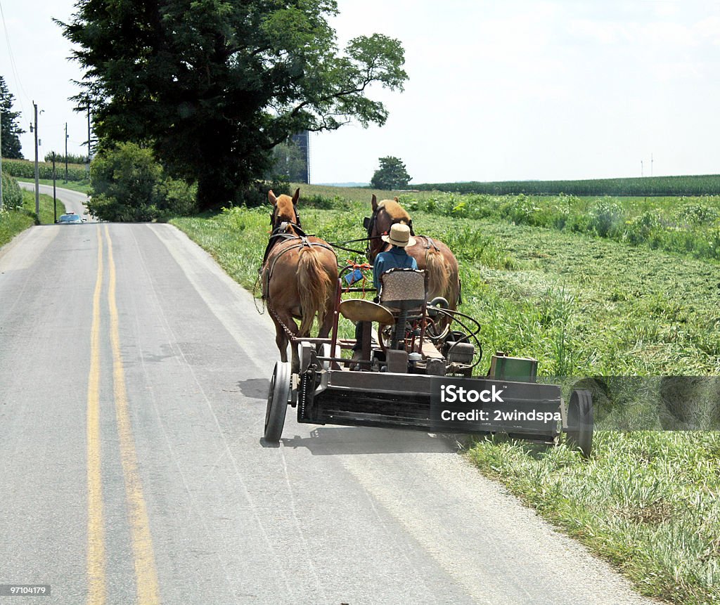 Amish Farm Equipment An Amish boy is driving farm equipment on the road.  Amish Stock Photo