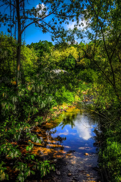 istock River in serbia, mountain river 971043300