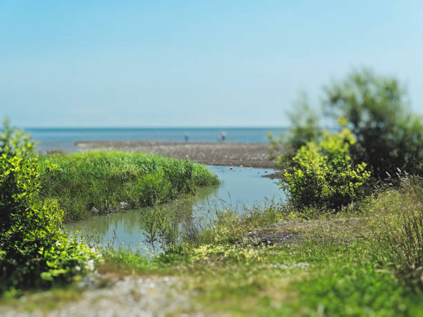 istock Mouth of mountain river 971044234