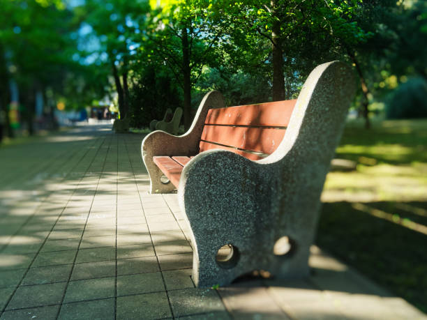 istock Tranquil park in resort district 971047300