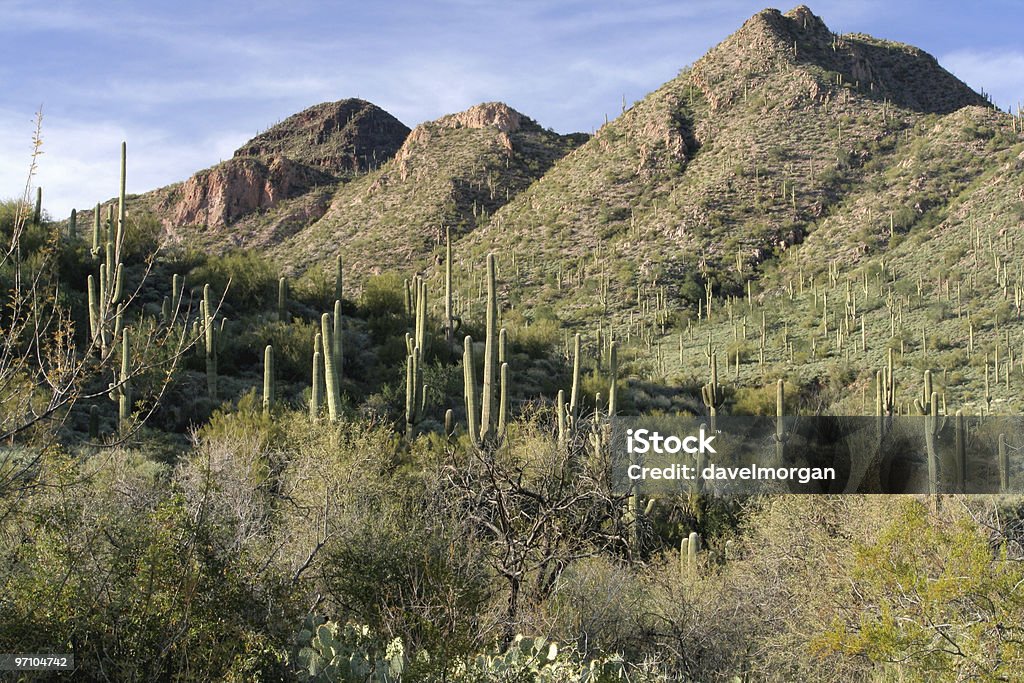 Montanhas do deserto de Sonora - Foto de stock de Arizona royalty-free