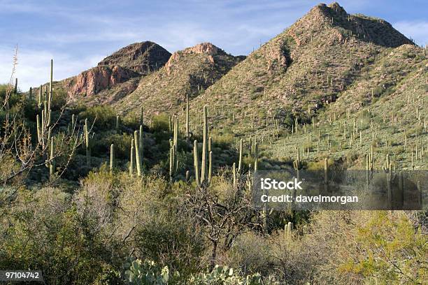 Foto de Montanhas Do Deserto De Sonora e mais fotos de stock de Arizona - Arizona, Cacto, Cacto Gigante