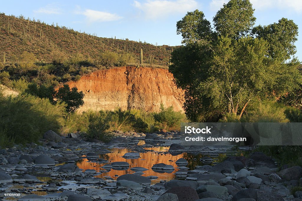 Lumière du soir sur un désert Creek - Photo de Arizona libre de droits