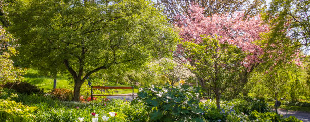 istock Free bench in the park 971061116