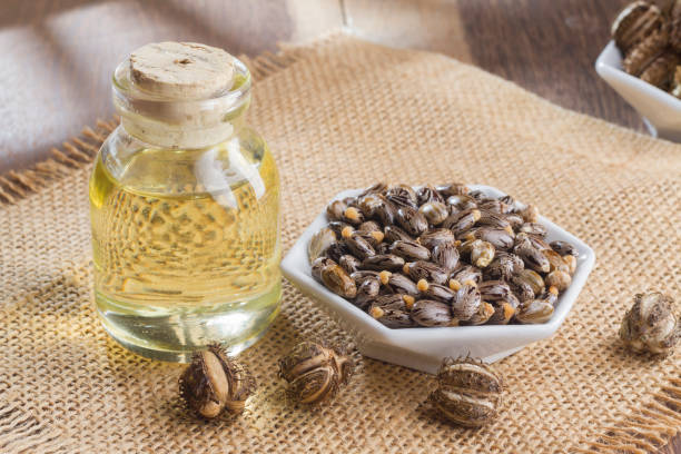 istock seeds and castor oil 971063838