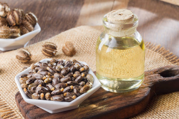 istock seeds and castor oil 971063842